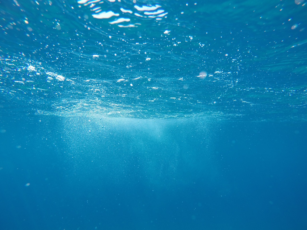The Role of the ROVs in Underwater Recovery Operations